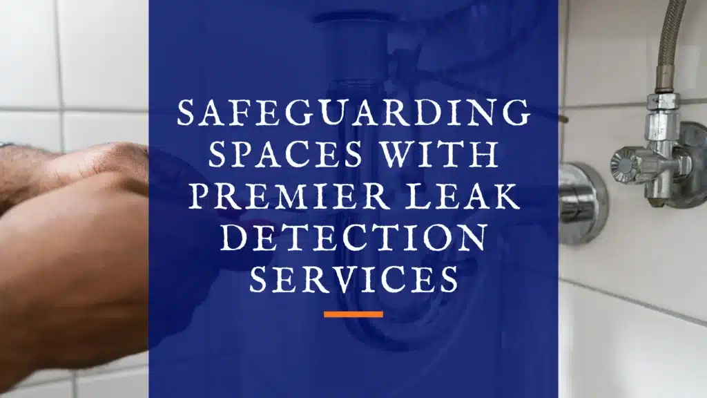 Expert & Best Safeguarding Spaces with Premier Leak Detection